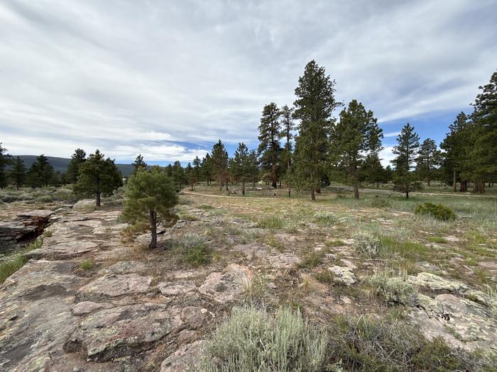 Red Canyon (Ashley National Forest) — Surrounding Area