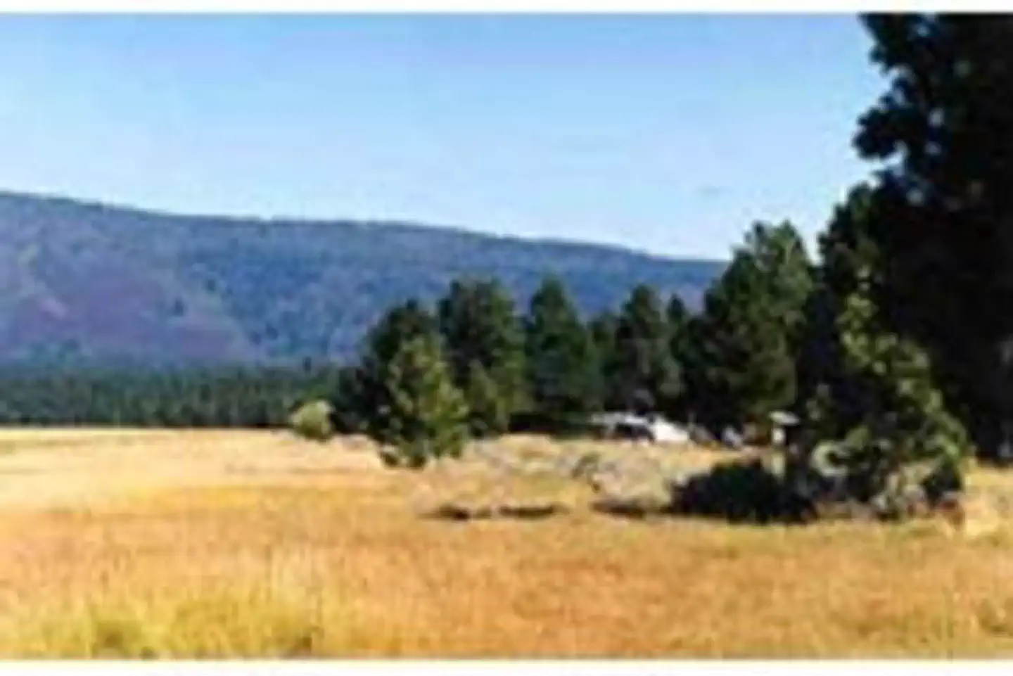 Merrill Campground — MERRILL CAMPGROUND
