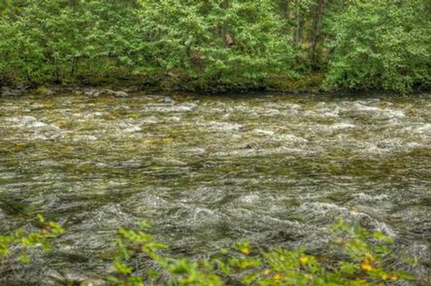 Soda Springs Campground (Bumping River, WA) — Soda Springs Campground