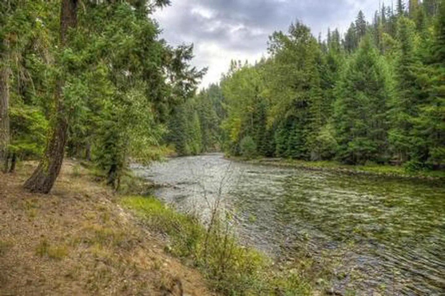 Soda Springs Campground (Bumping River, WA) — Soda Springs Campground
