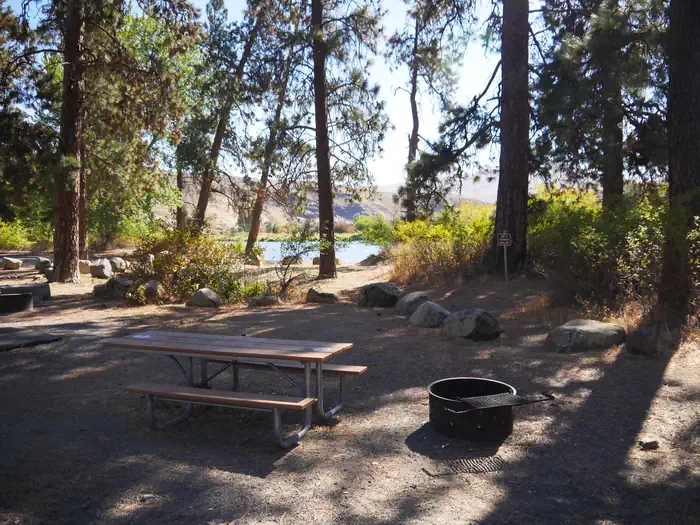 Big Pines — Big Pines Campsite 2 with fire ring and parking space.