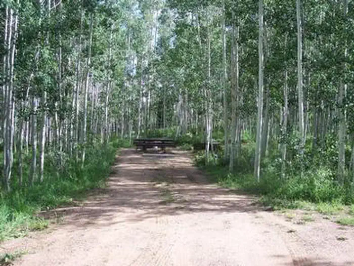 BARKER RECREATION AREA — Campsite surrounded by aspen trees