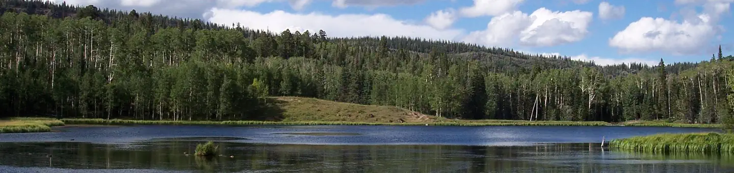 Dixie National Forest Barker Recreation Area