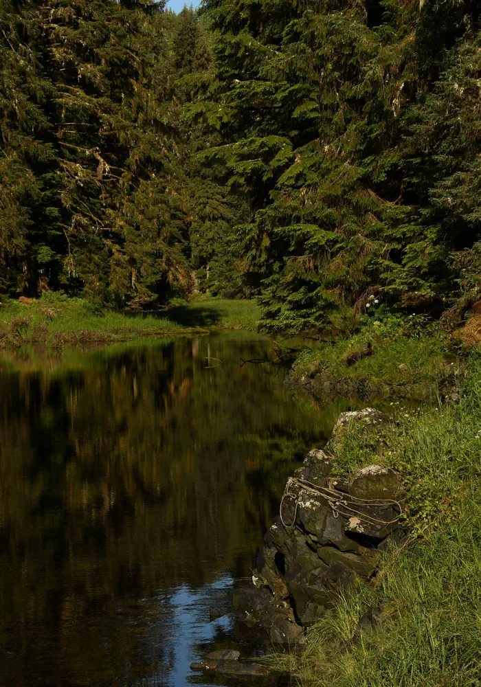 Karta River Cabin — Karta River