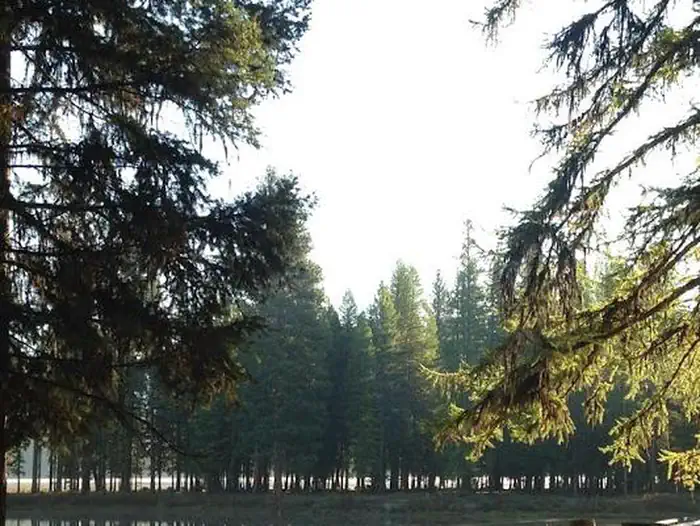 River Point Lolo Campground (MT) — Riverpoint from Across the Clearwater River