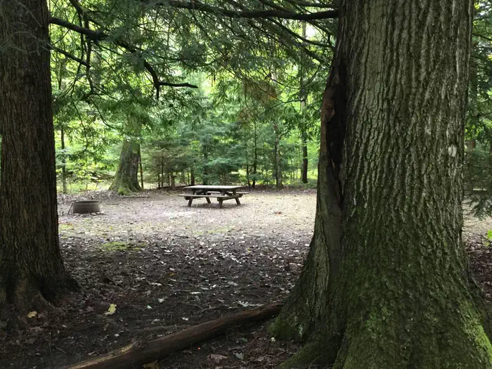 Hearts Content Recreation Area — Hearts Content Recreation Area