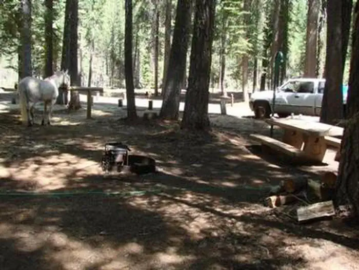 Horse Campground — Horse Camp hitching post in use