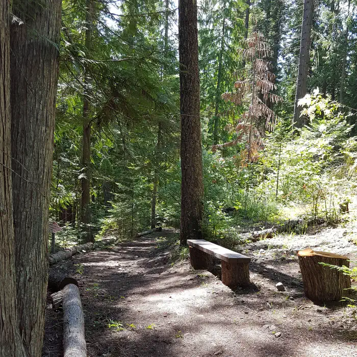 OSPREY — Trail at Osprey Campground