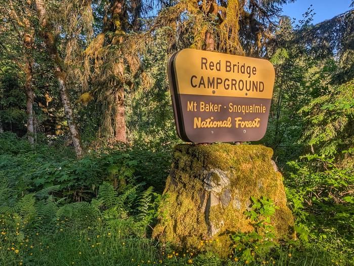 Red Bridge Campground  — National Forest sign for Red Bridge Campground, surrounded by trees. 