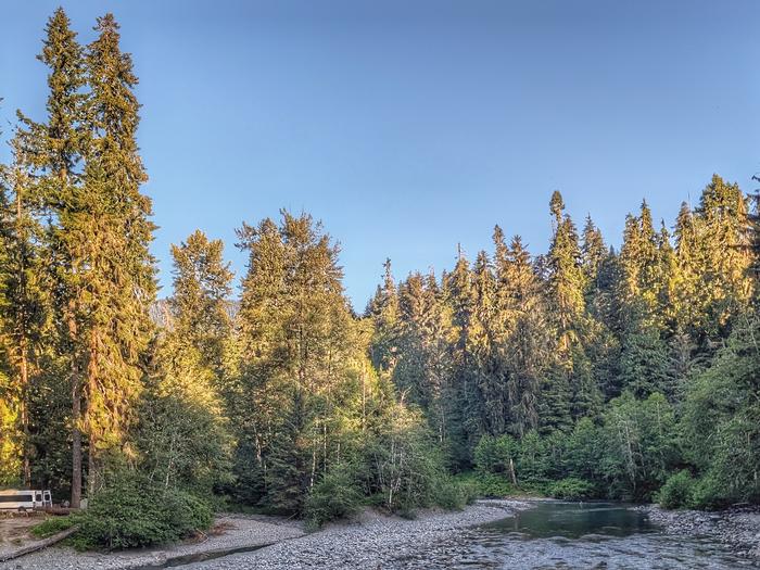 Red Bridge Campground  — Old-growth forests line the wide, gently flowing South Fork Stillaguamish River, known for its salmon run.