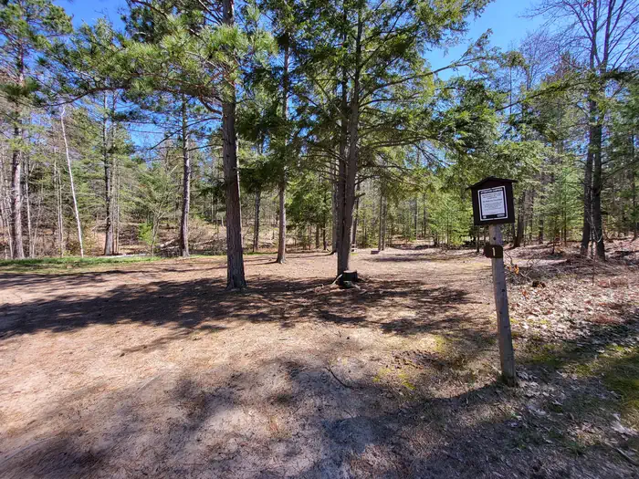 Mowe Lake Campsites — Mowe Lake Campsite 1