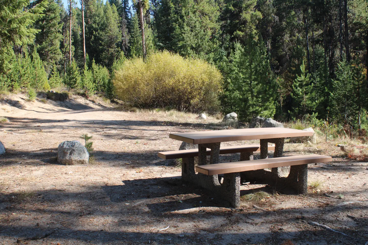 Barneys Campground (Boise National Forest, ID) — Campsite at Barneys, picnic table partially shaded