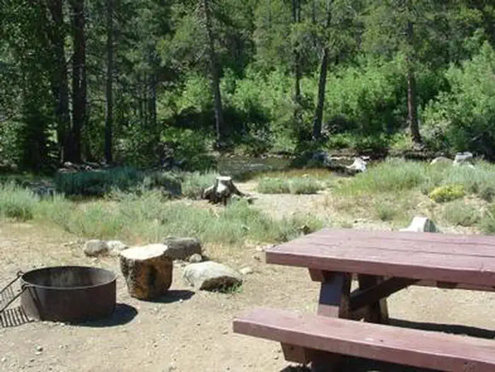 Upper Little Truckee — UPPER LITTLE TRUCKEE