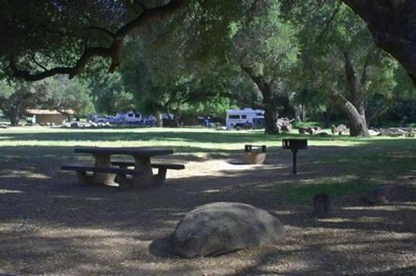 PARADISE CAMPGROUND — PARADISE CAMPGROUND