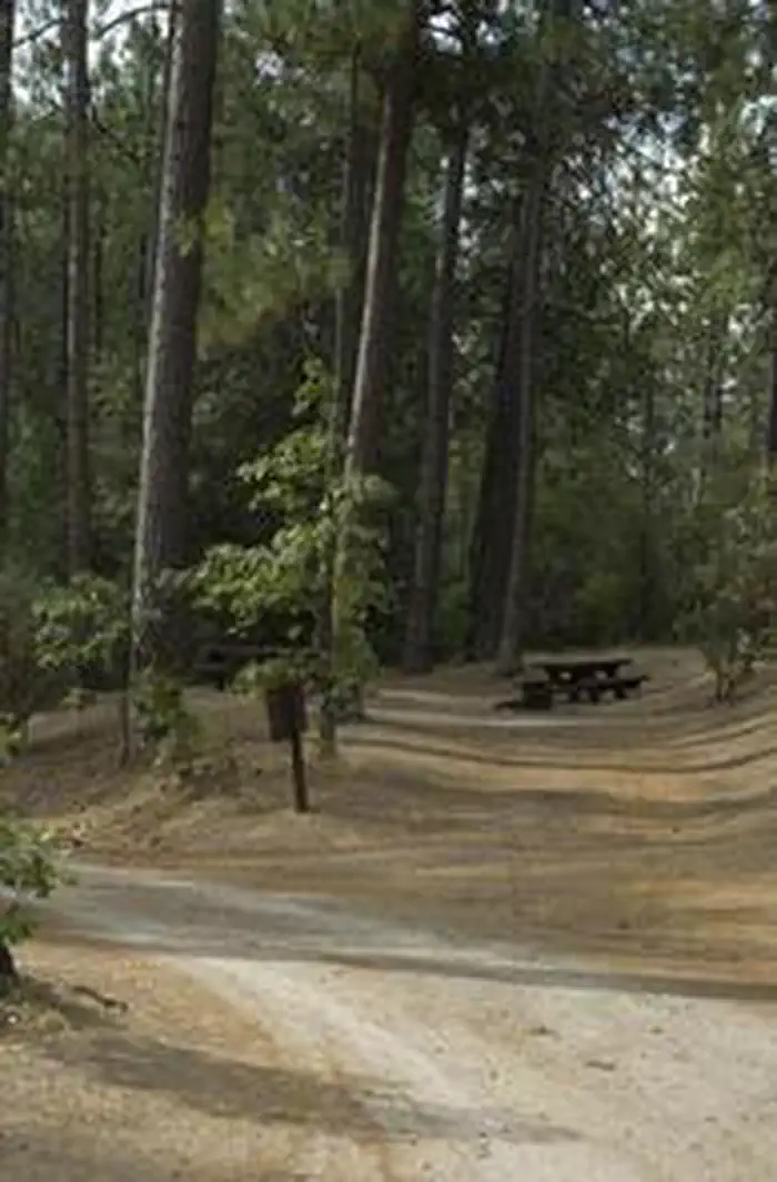 Crane Valley — CRANE VALLEY