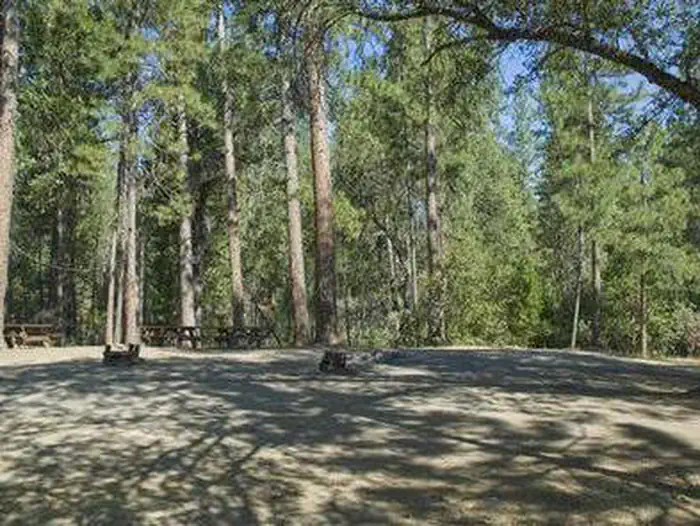 Crane Valley — Picnic tables and fire rings at campsites in a forest grove