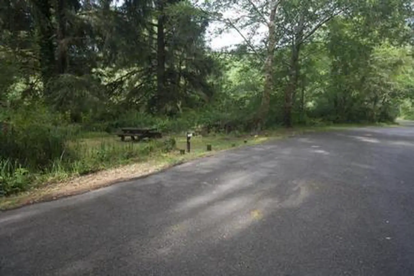 Tyee Campground - Oregon Dunes — Large paved parking area next to a picnic table in a shady, grass covered campsite.