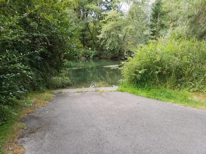 Tyee Campground - Oregon Dunes — Paved boat ramp flanked by shrubs at the shore of a still, green waterway.