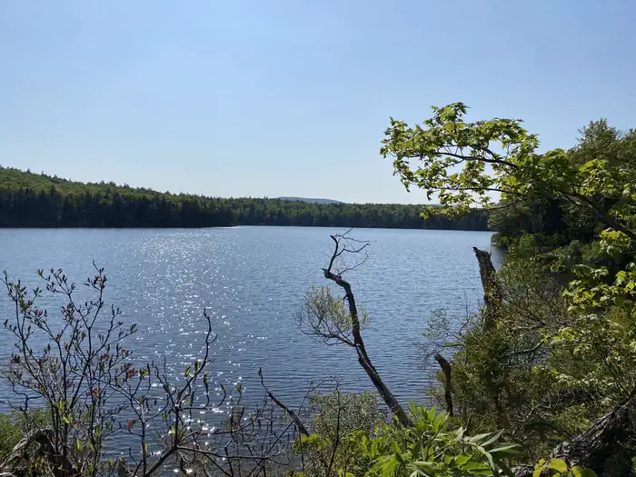 Grout Pond Campground — A photo of facility Grout Pond Campground with Waterfront