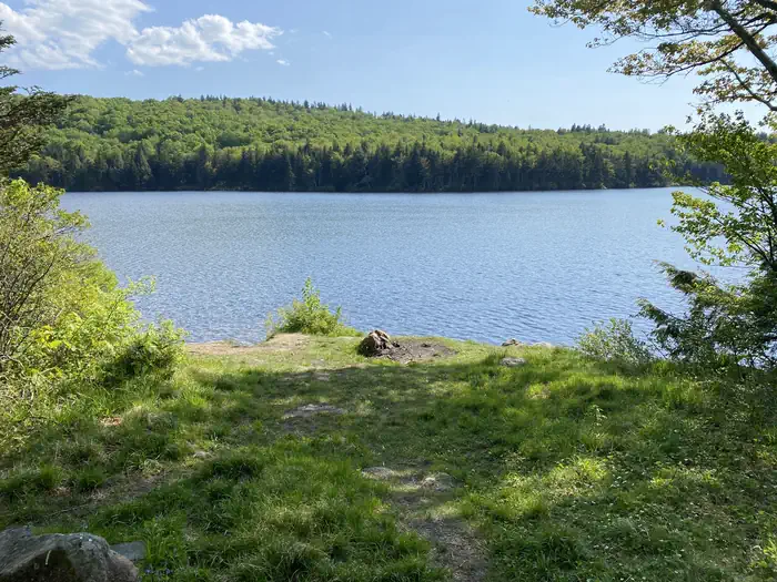 Grout Pond Campground — A photo of facility Grout Pond Campground with Waterfront