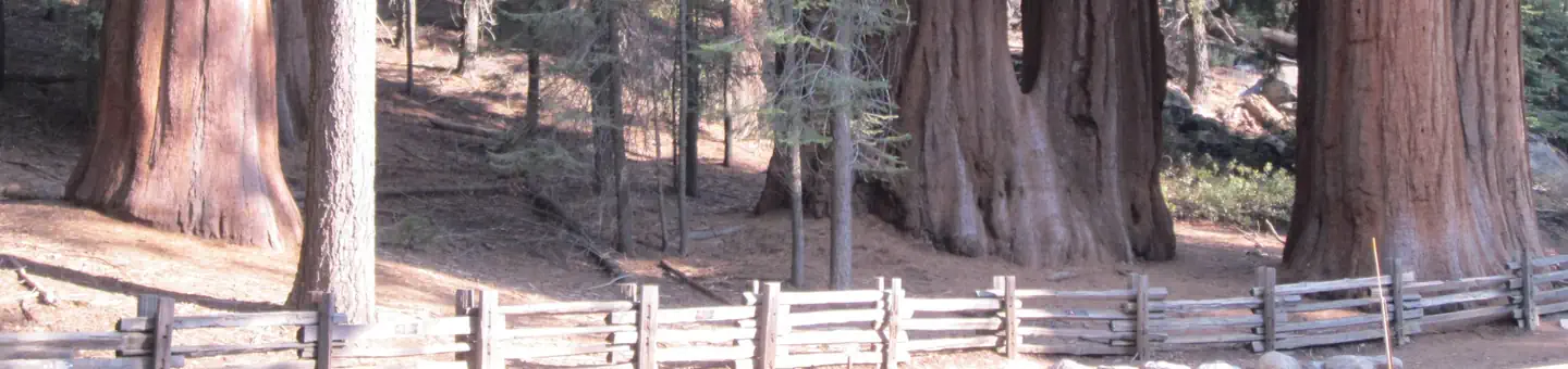 Dorst Creek Campground