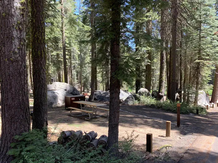 Crane Flat Campground — Typical campsite in Crane Flat campground.