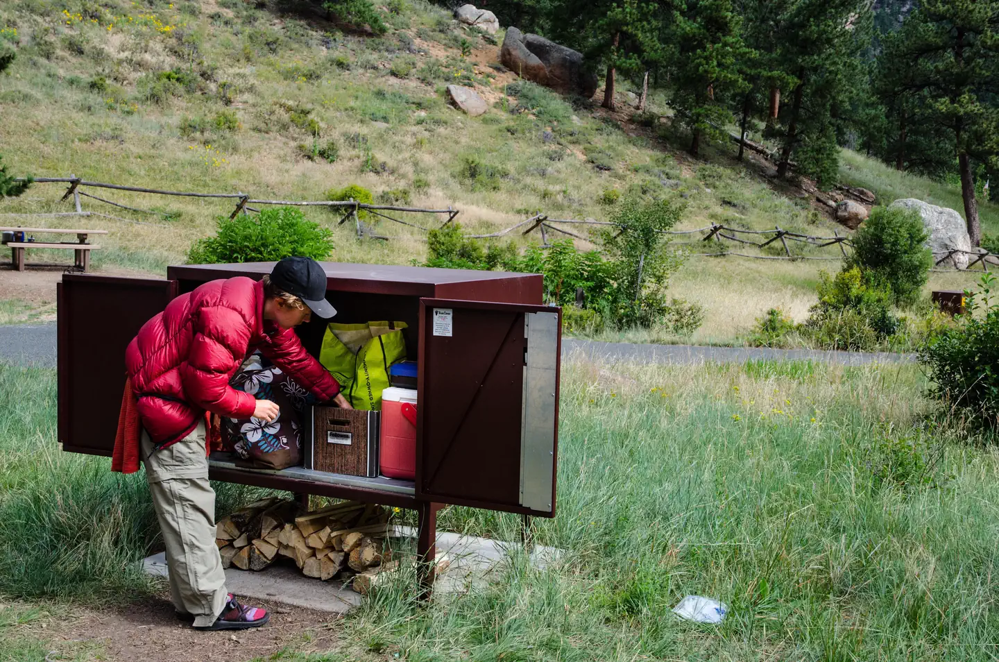 Rocky Mountain National Park Aspenglen Campground — A camper is using a food storage box in Aspenglen Campground