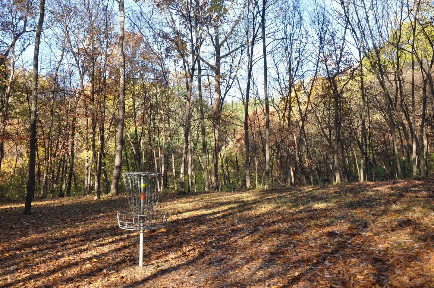 WALNUT RIDGE RECREATION AREA — Disk Golf