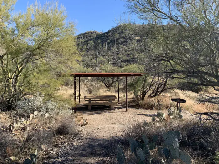 SABINO CANYON RECREATION AREA CACTUS RAMADA 2 — single covered picnic table with grill