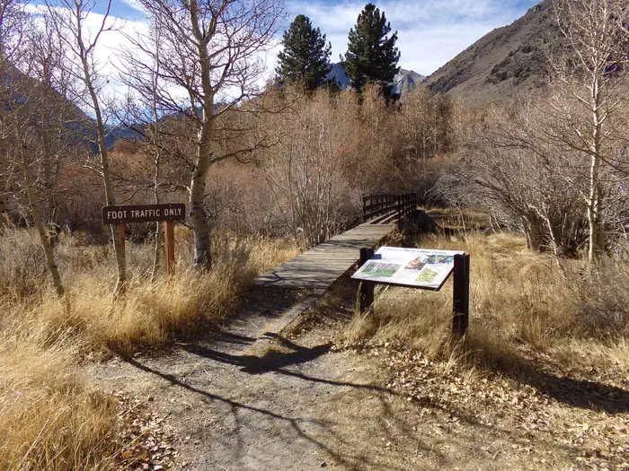 CONVICT LAKE CAMPGROUND — Convict Lake Campground trail to fishing creek in campground.