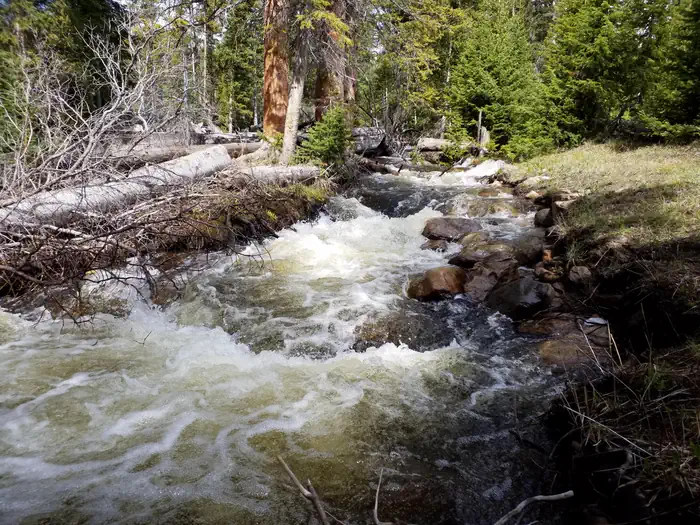 NORTH FORK (WY) — North Fork of the Little Laramie River