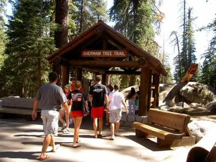 Lodgepole Campground-Sequoia and Kings Canyon National Park — Sherman Tree Trail from the upper parking area.