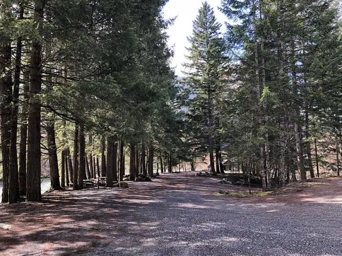 Gorge Lake Campground — Gravel road lined by tall trees at entrance to Gorge Lake Campground