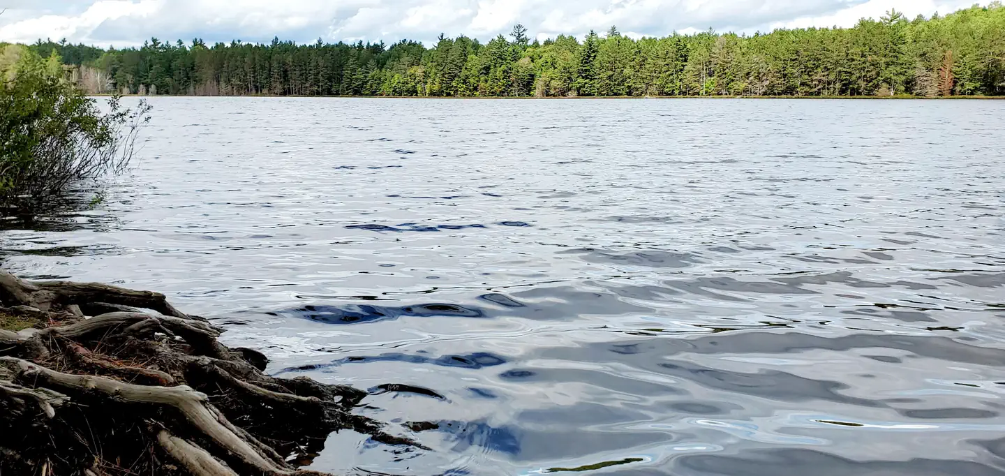 Swan Lake Campsites — Swan Lake - Fall