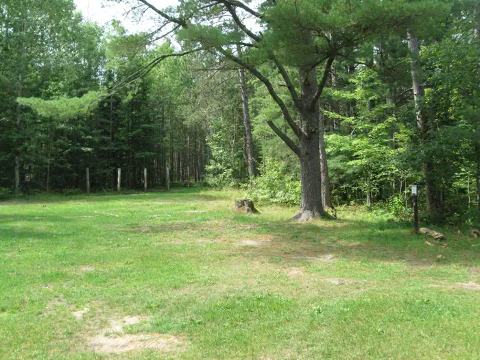Swan Lake Campsites — Swan Lake Campsite 3