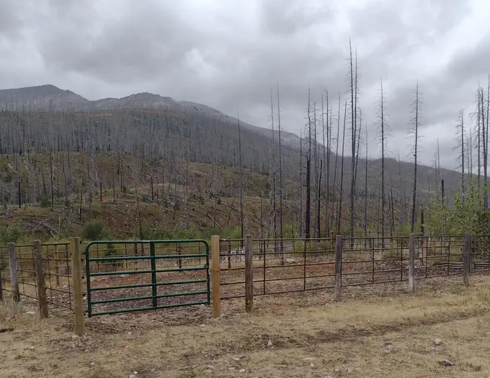 WEST FORK CABIN (W OF CHOTEAU) — Outside of corral on a cloudy day with mountain in background