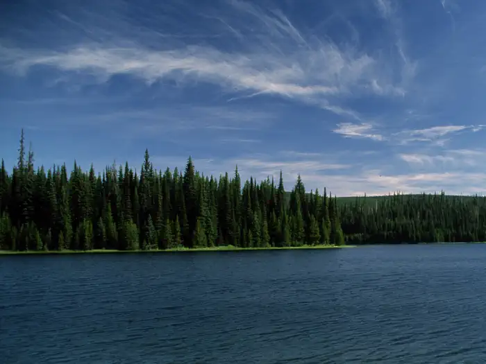 Jubilee Lake Campground (OR) — Jubilee Lake showing water, trees blue skies.