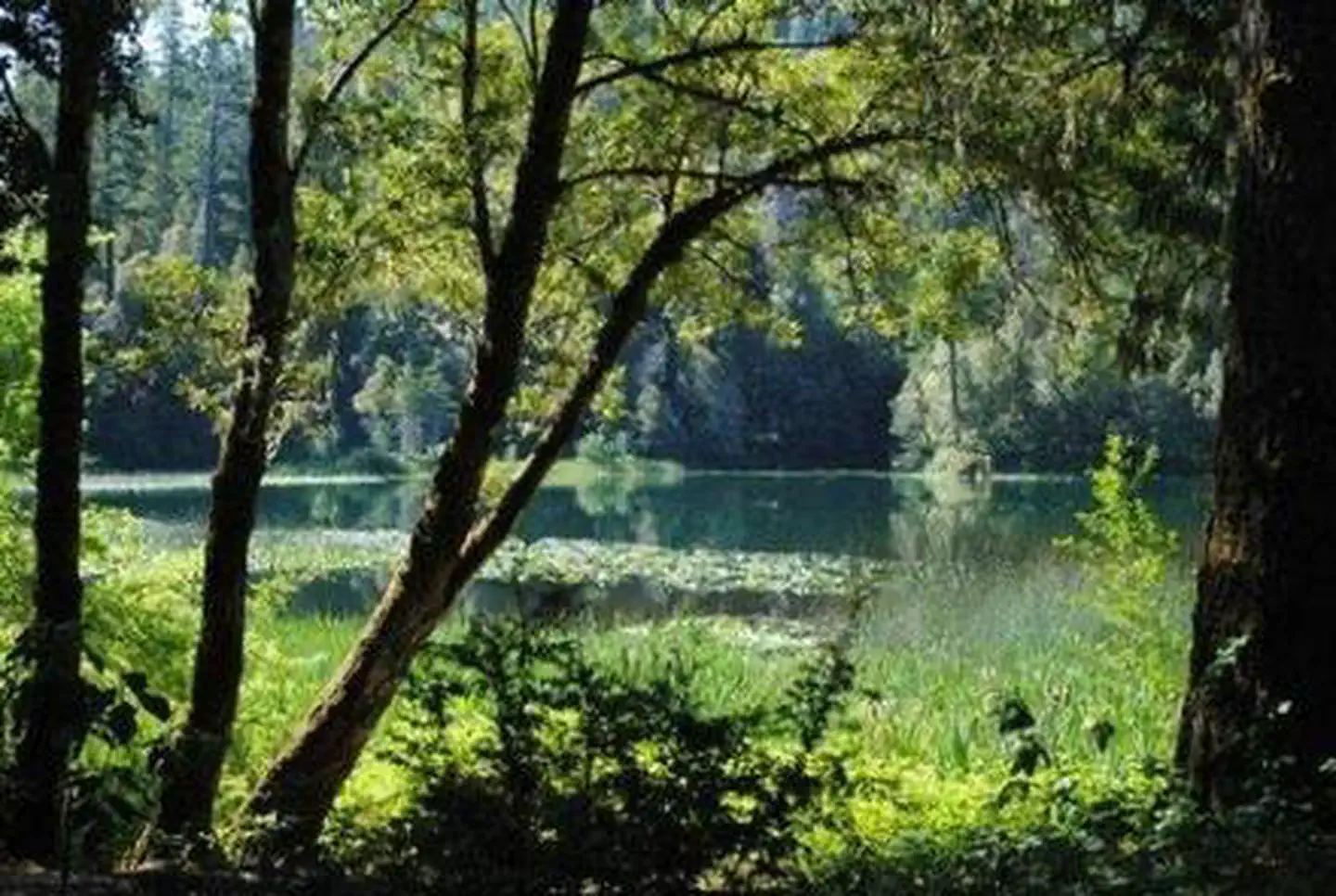 FISH LAKE CAMPGROUND — FISH LAKE CAMPGROUND