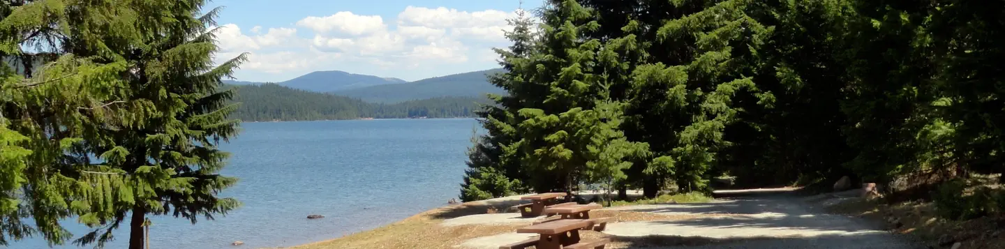 Pine Point Campground (Timothy Lake, OR) —