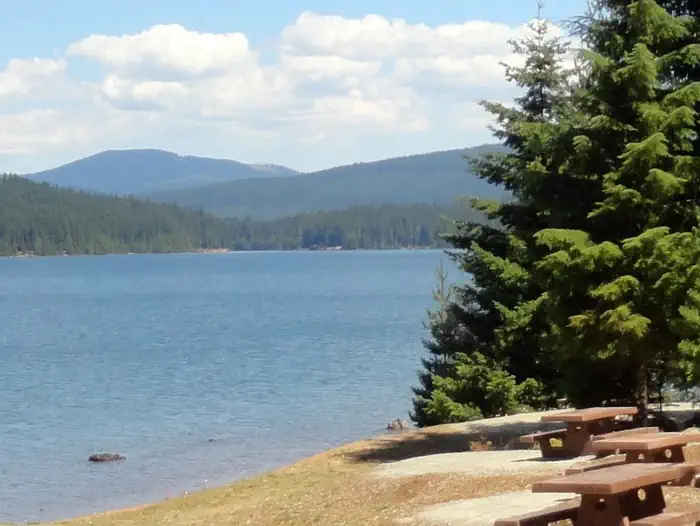 Pine Point Campground (Timothy Lake, OR) —