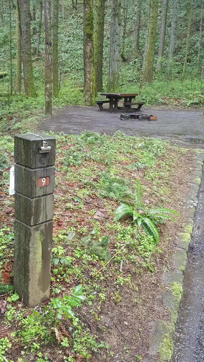 WYETH CAMPGROUND — Wyeth campground Site #9