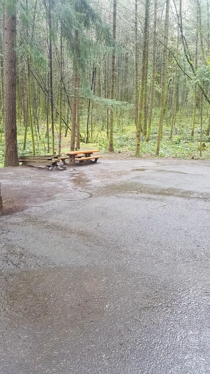 WYETH CAMPGROUND — Wyeth campground Site #10
