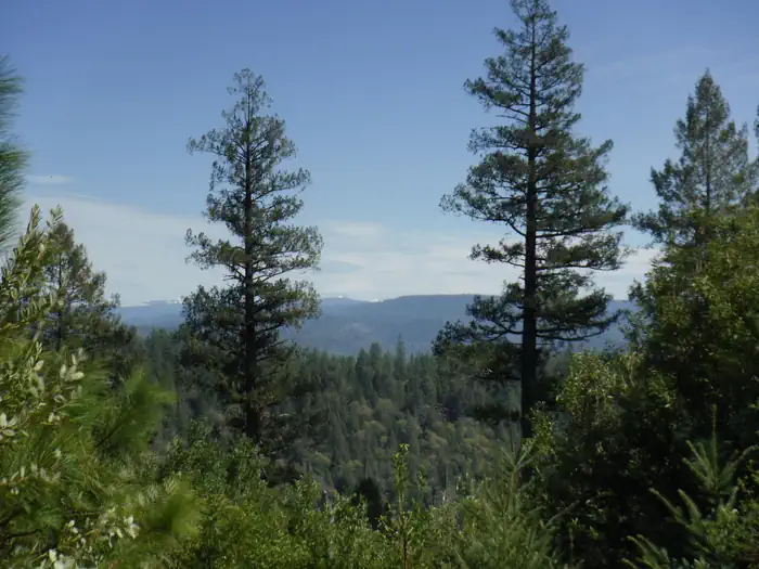 Cottage Creek Campground (CA) — Cottage Creek Campground