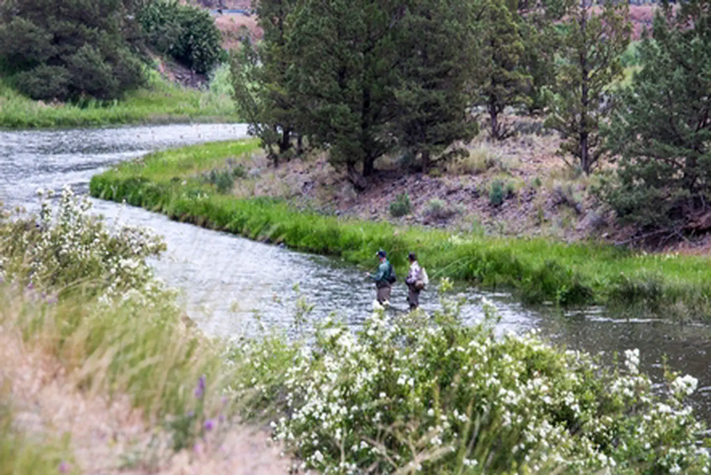 Chimney Rock Campground — Chimney Rock Campground