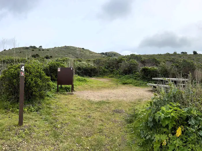 Point Reyes National Seashore Campground — Campsite with picnic table and bear box surrounded in trees.