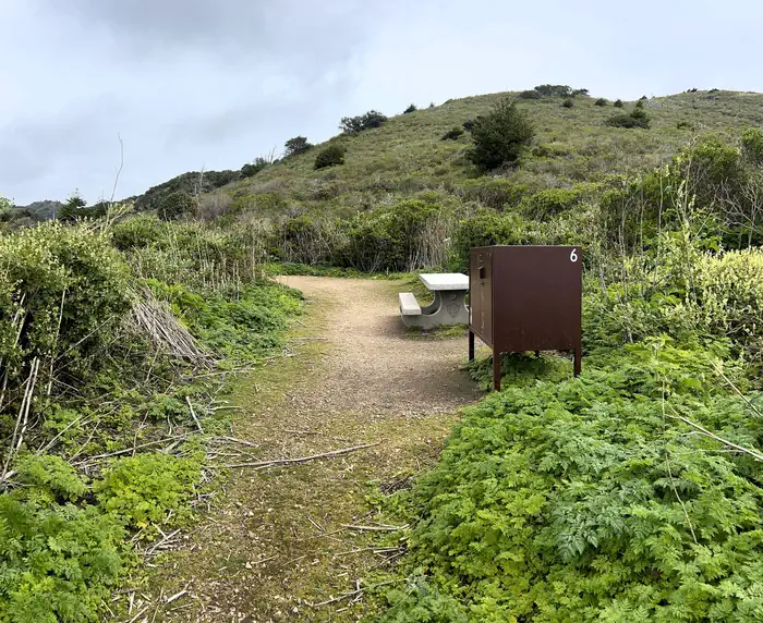 Point Reyes National Seashore Campground — Coast campsite 6 with bear proof food locker and picnic table.