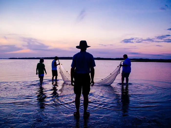 ASSATEAGUE ISLAND NATIONAL SEASHORE CAMPGROUND — Seining the waters of Assateague