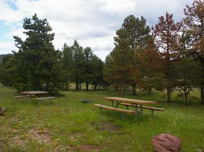 BROWNE LAKE GROUP SITES — Picnic tables in a grassy area with a few pines in the area.