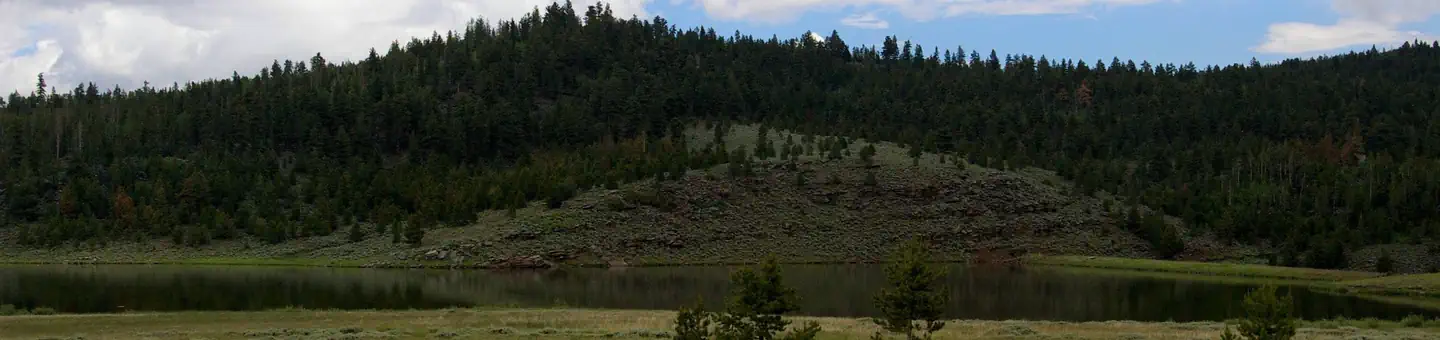 Browne Lake Campground
