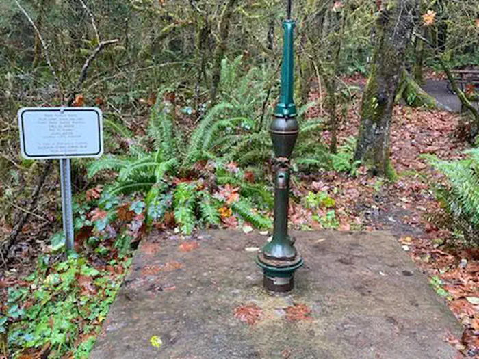 Cedar Grove Campground — Cedar Grove handpump